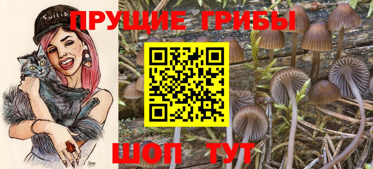 Алейск  Псилоцибиновые грибы ЛСД  Галлюциногенные грибы MAGIC MUSHROOMS  Вход с VPN 