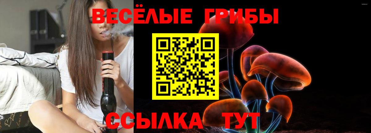 Галлюциногенные грибы Magic Shrooms Алейск