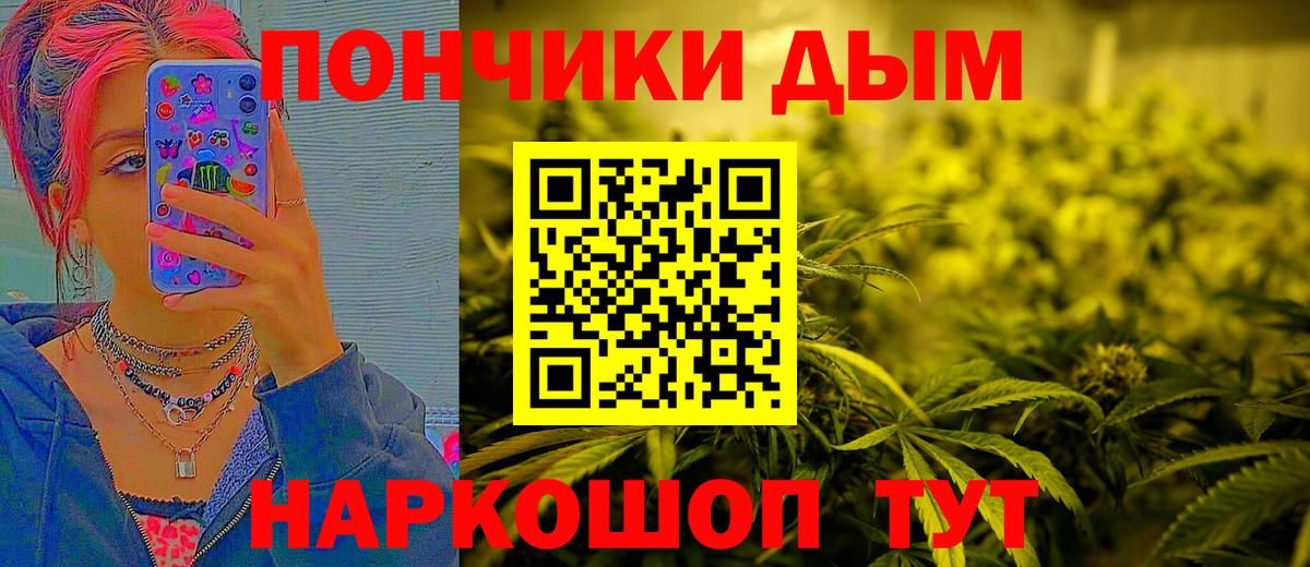 Бошки Шишки SATIVA & INDICA  Вход с VPN  Марихуана план  Марихуана White Widow  Бошки марихуана семена  Алейск 